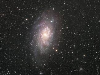 M33