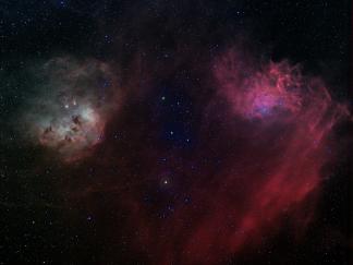 Tadpoles and Flaming Star